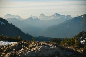 Rok 2020 - czy  znaleźć psychologa?